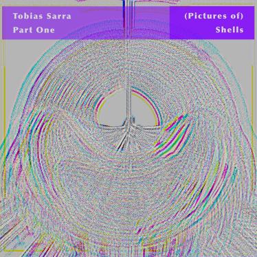 tobias sarra Pictures of Shells - JPEG.jpg